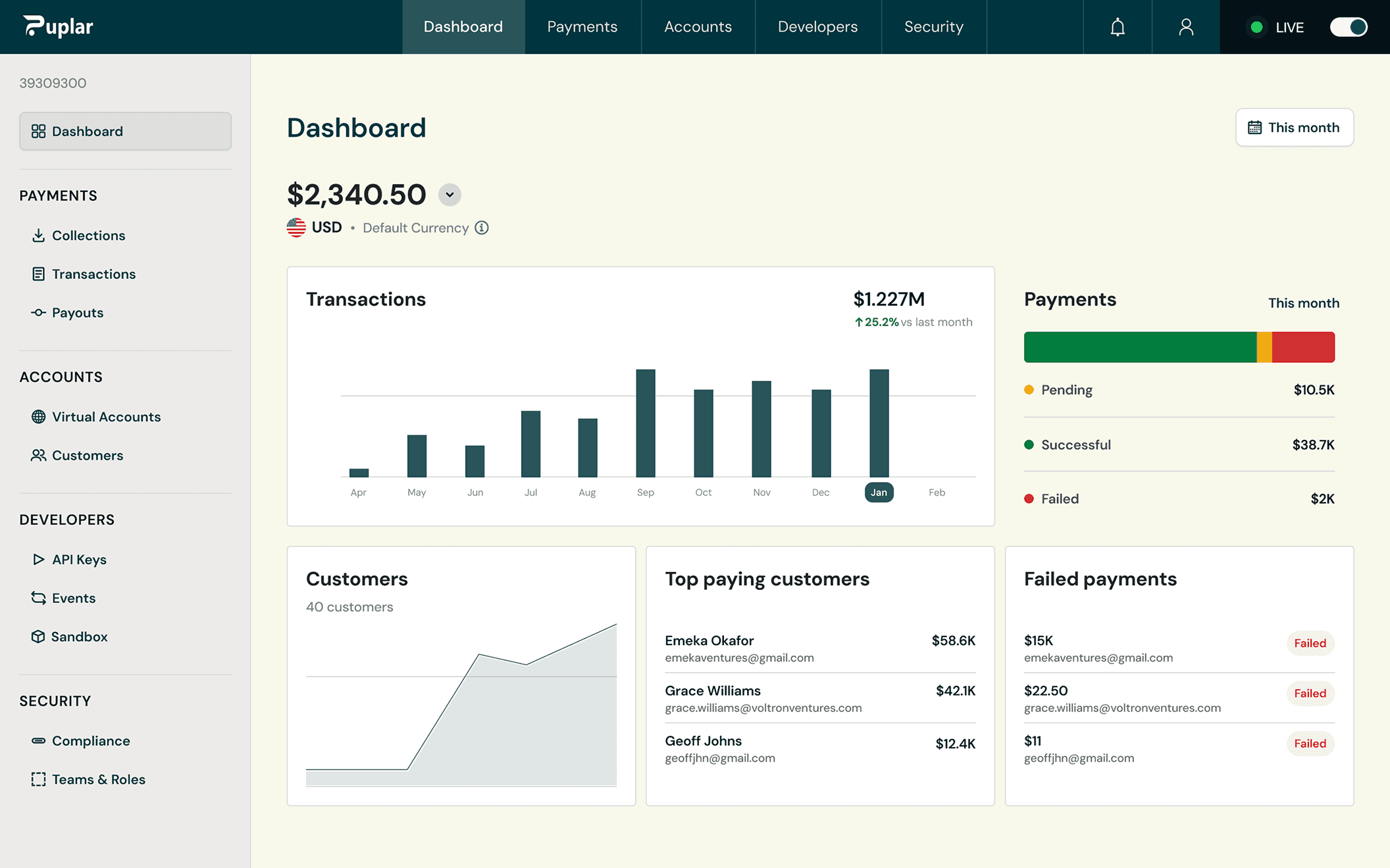 Puplar project cover for Multi-rail finance dashboard